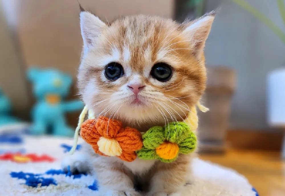 잠복기 전염병 사전 완벽 차단