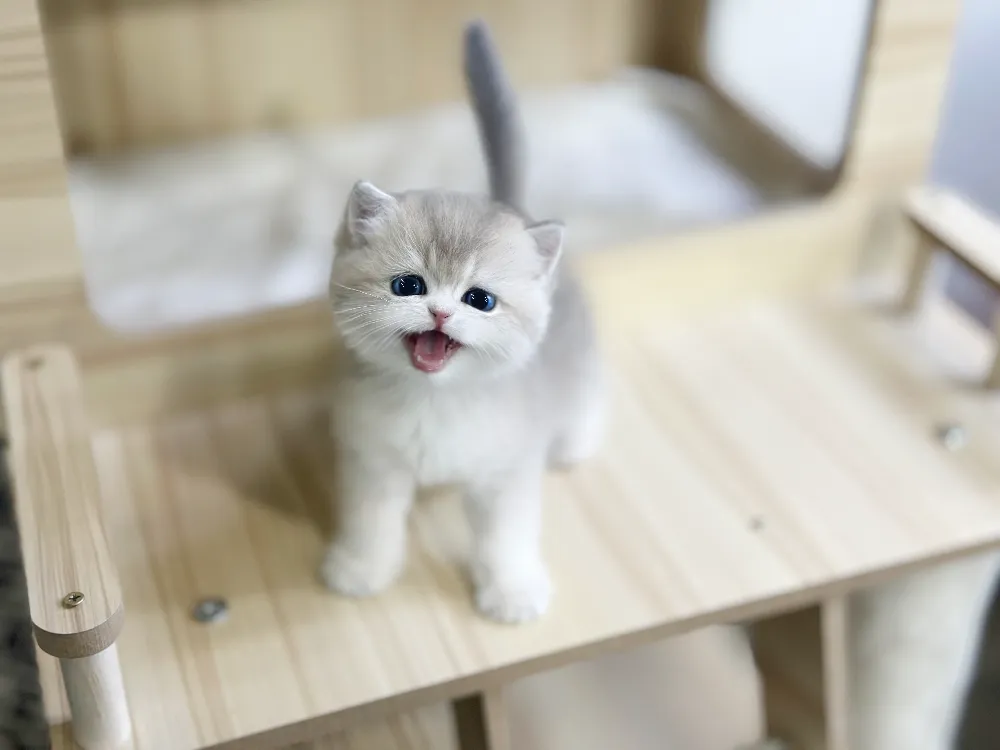 평생 메디컬 제휴 할인