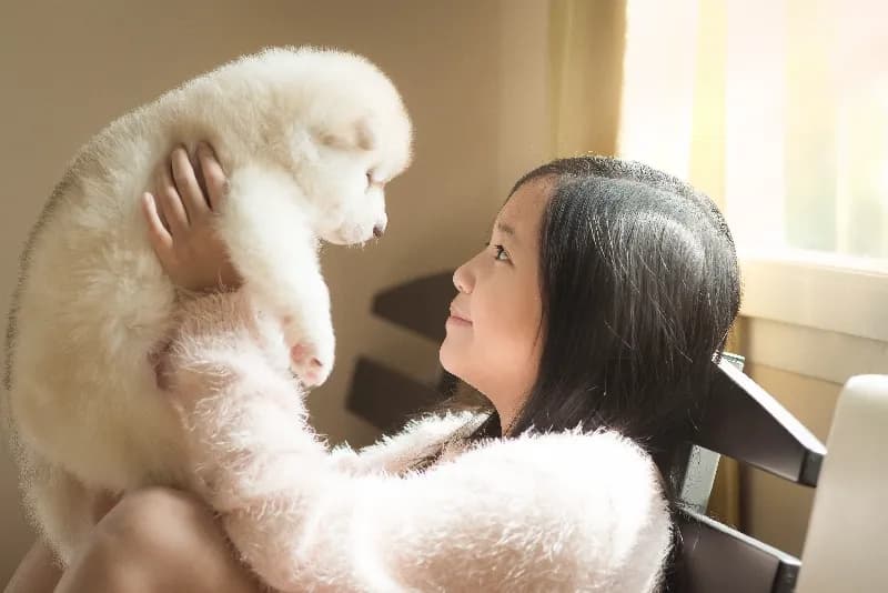 강아지 파양 입소