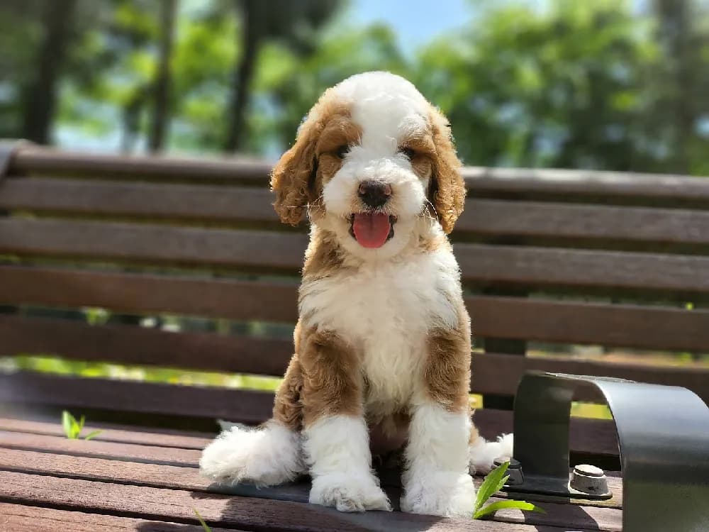전문가 핫라인 지원