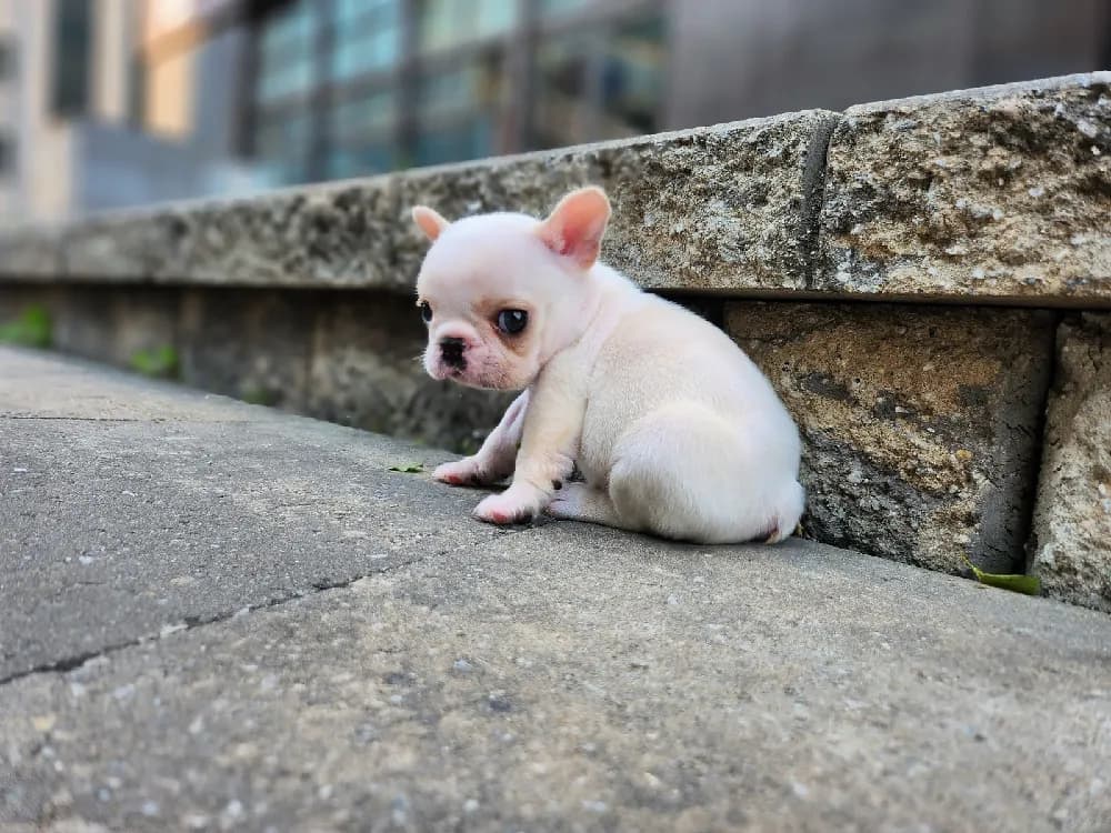 협력 메디컬 웰니스 멤버십