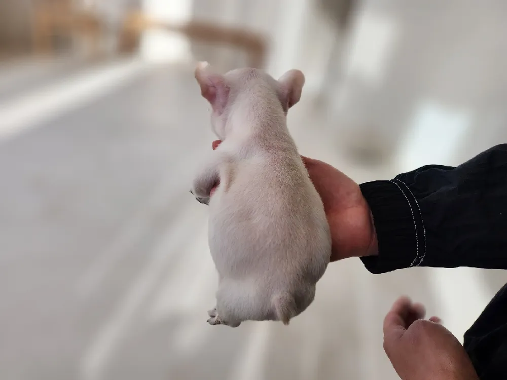 협력 메디컬 웰니스 멤버십