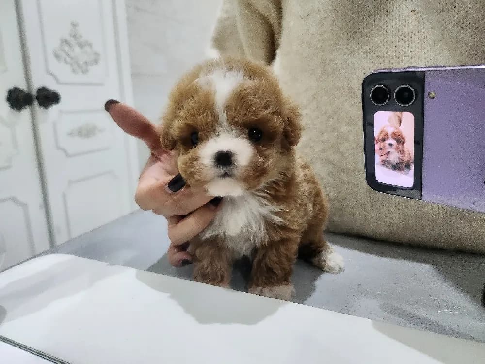 관절/골격 사전 안심 검진