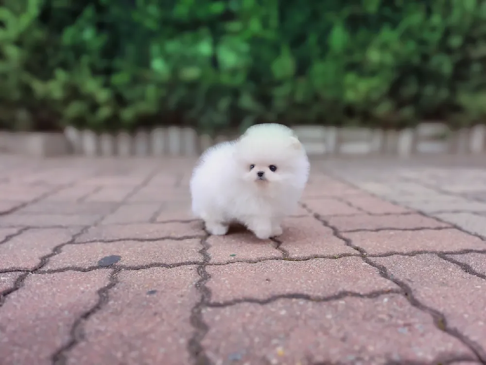 안심 건강검진 시스템