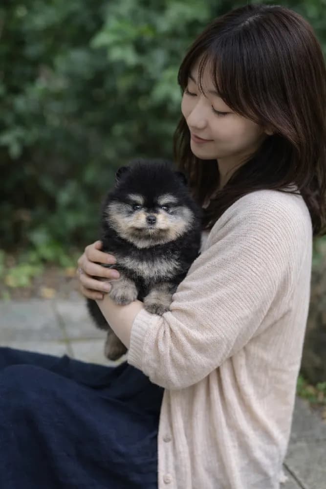 부평 강아지분양 부평 강아지분양 케어 모습 3