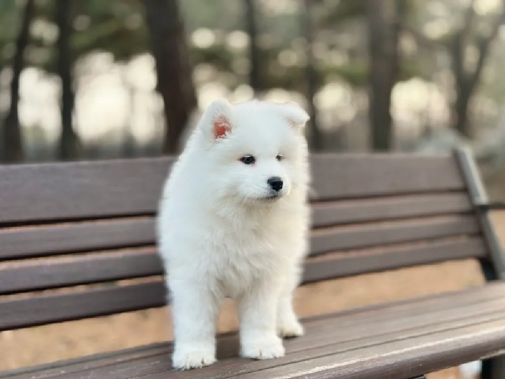 항온·항습 청정 룸 시스템