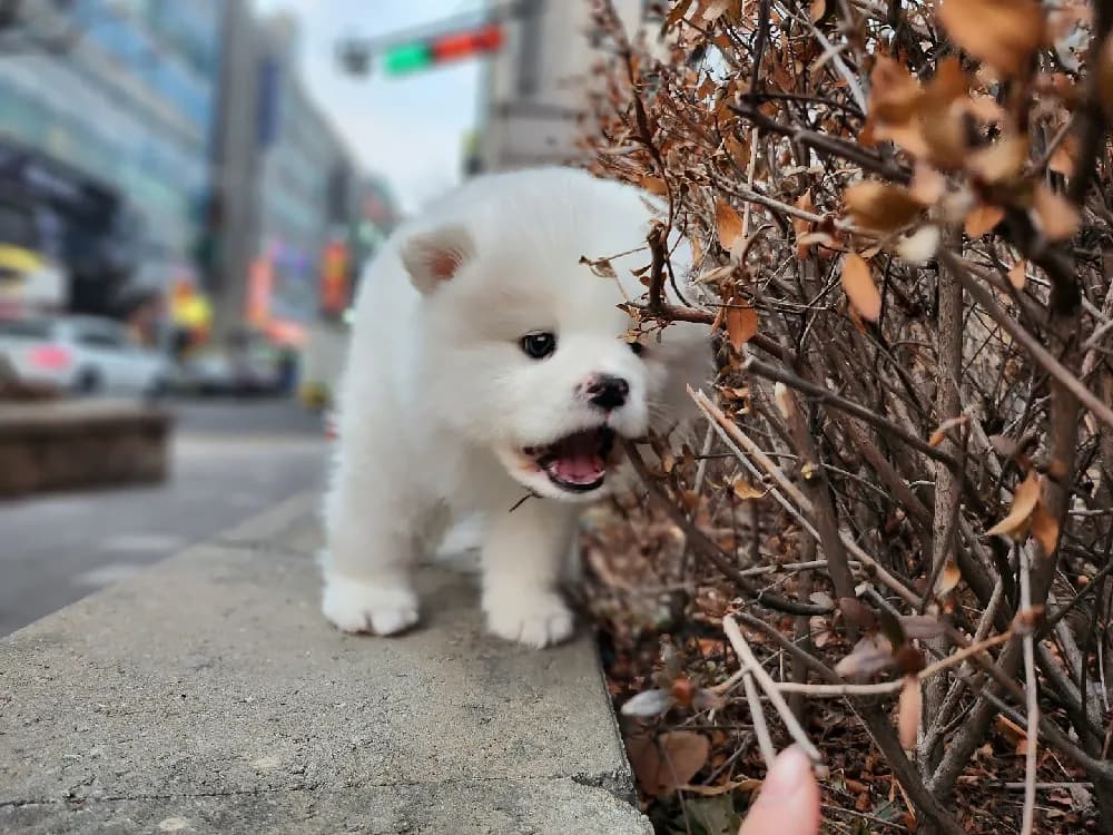 평생 헬스케어 및 멤버십 지원