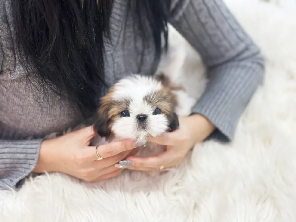 책임 안심 보증 시스템