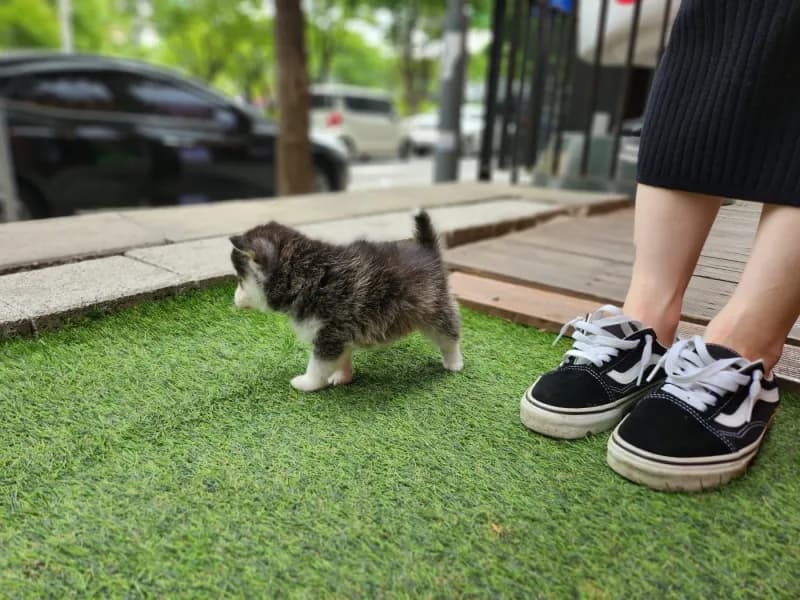 광주 폼스키분양 광주 폼스키분양 케어 모습 3